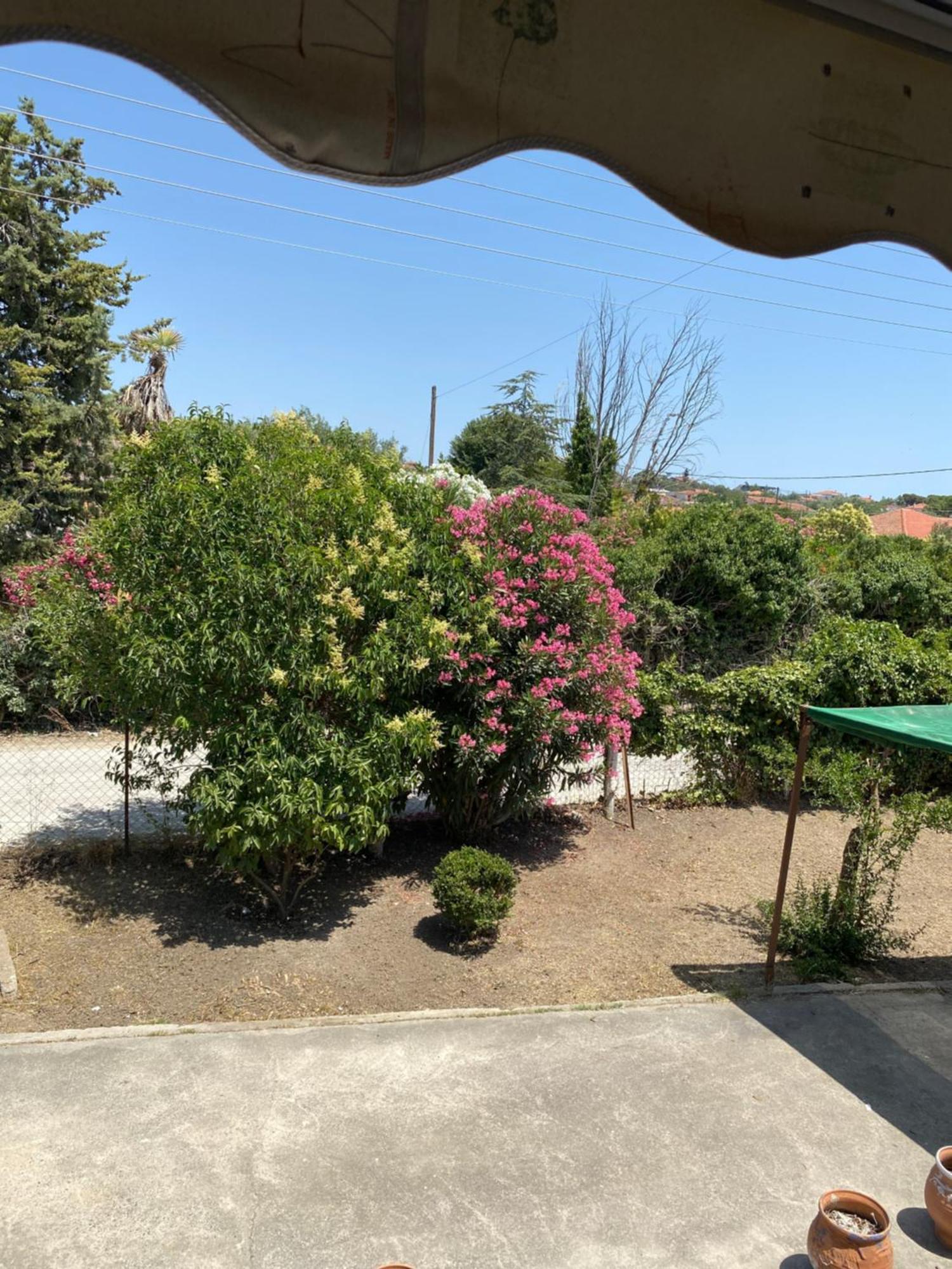 Holiday home Yota's House Vergia